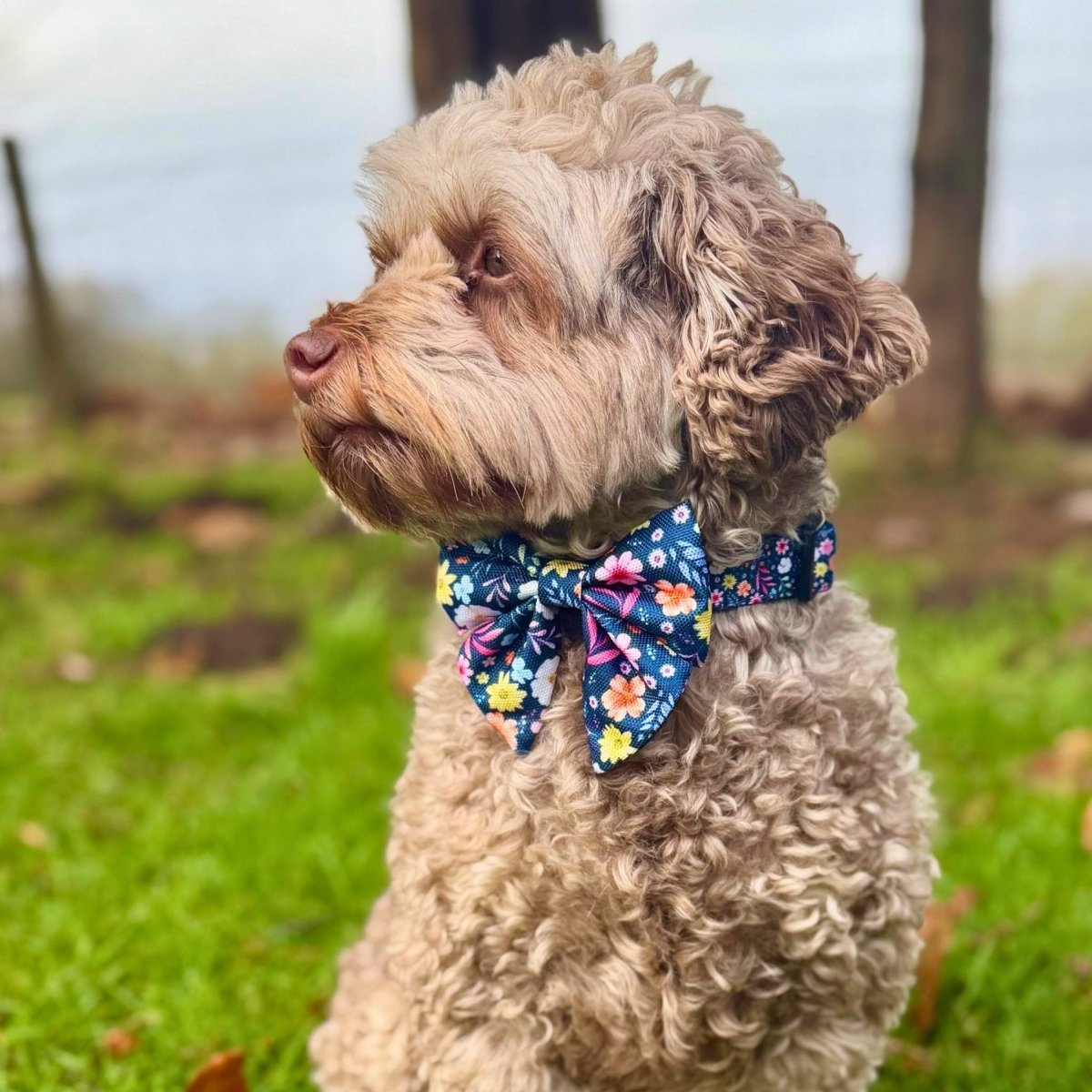 PupClub Couture Dog Sailor Bow - Summer Meadow