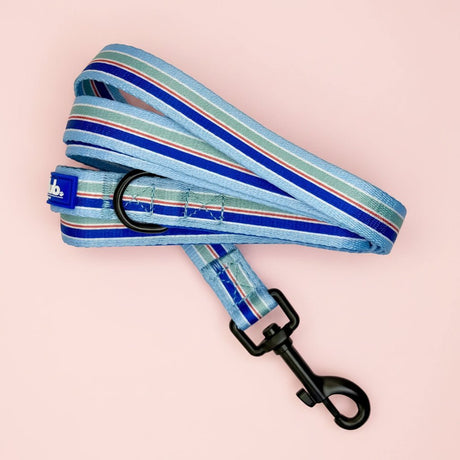 PupClub Couture Dog Lead - Sea Breeze Stripes
