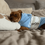 PupClub Couture Drying Robe - Blue