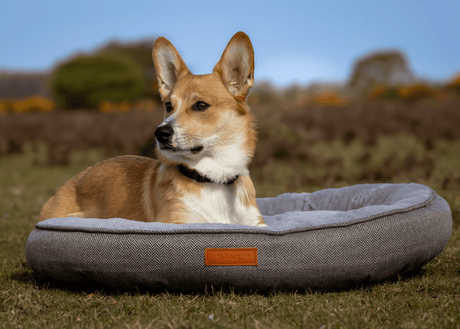 Ralph & Co The Balmoral Herringbone Calming Donut Dog Bed - Grey