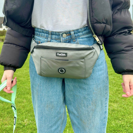 PupClub Couture Dog Walking Bum Bag - Grey
