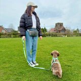 PupClub Couture Dog Walking Bum Bag - Grey