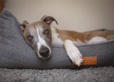 Ralph & Co The Balmoral Herringbone Bolster Dog Bed Grey