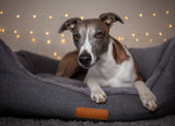Ralph & Co The Balmoral Herringbone Bolster Dog Bed Grey