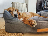 Ralph & Co The Balmoral Herringbone Bolster Dog Bed Grey
