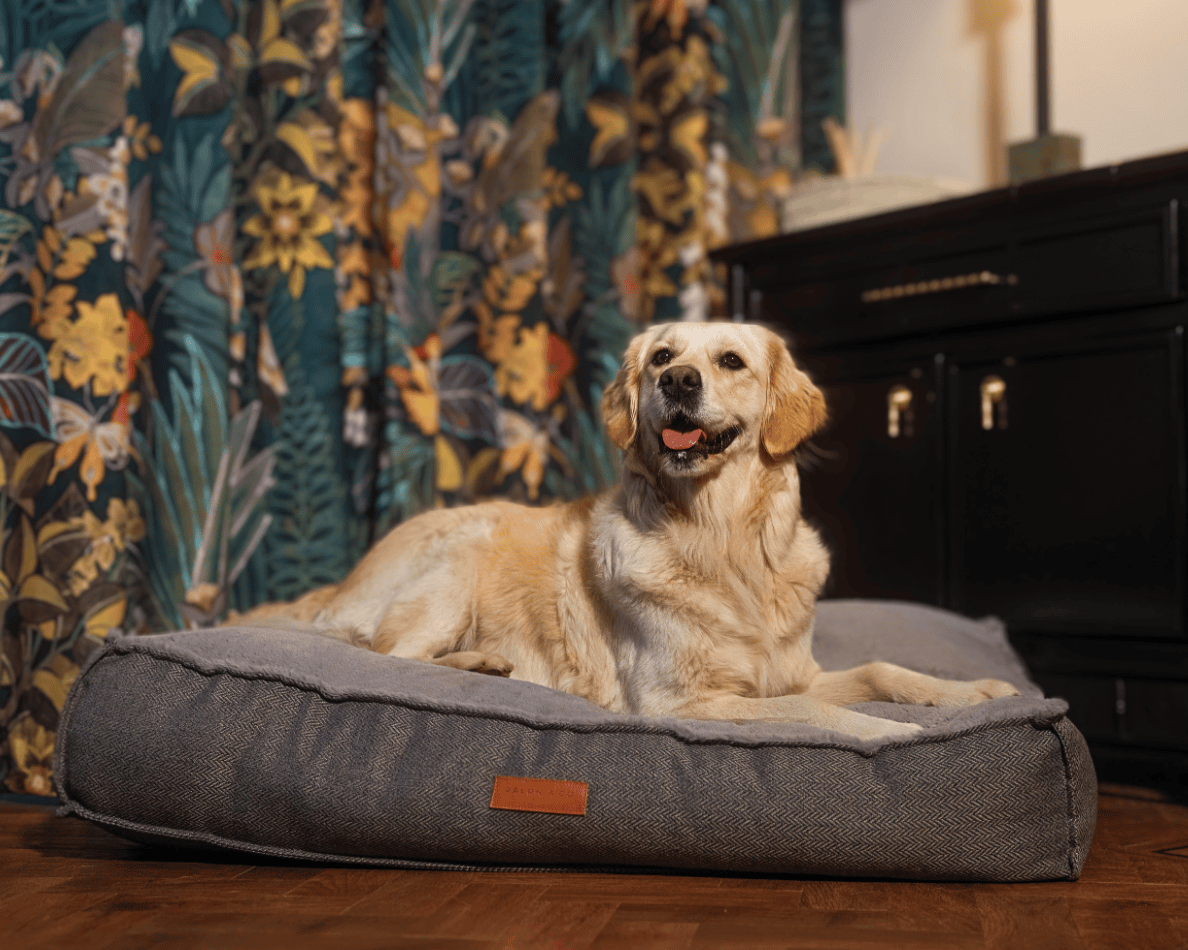Ralph & Co The Balmoral Herringbone Flat Pillow Dog Bed - Grey