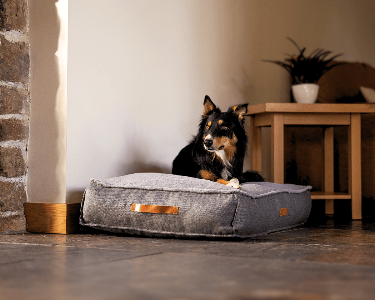 Ralph & Co The Balmoral Herringbone Flat Pillow Dog Bed - Grey