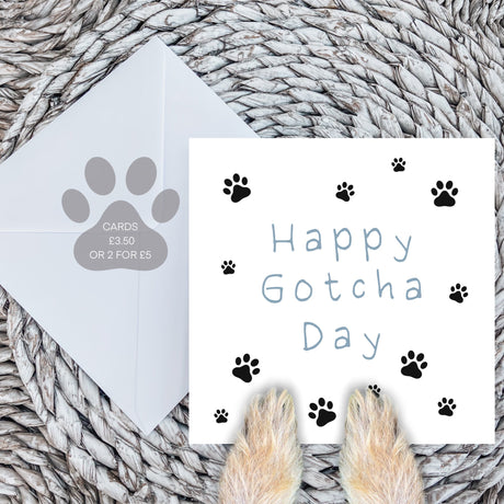 Paws Right There Happy gotcha day card in blue