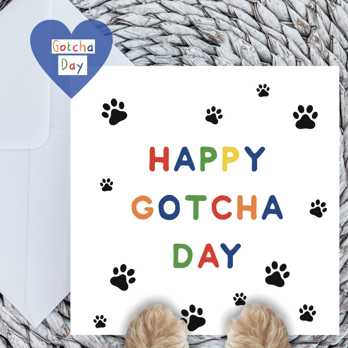 Paws Right There Happy gotcha day card in rainbow