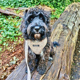 PupClub Couture Luxe Toffee Latte Petals Adjustable Dog Harness
