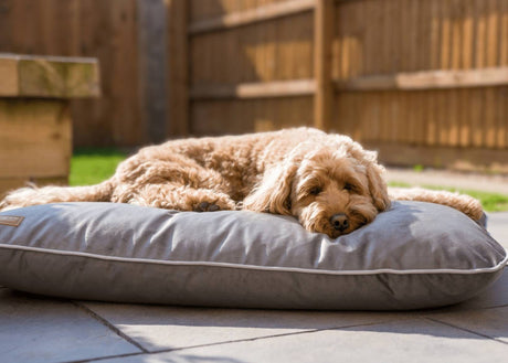 Ralph & Co Orthopaedic Memory Foam Dog Crate Mattress - Grey