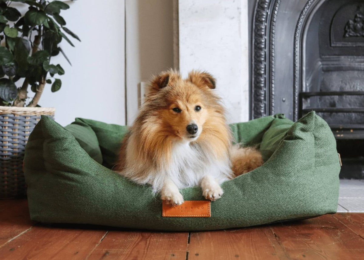 Ralph & Co The Richmond Bolster Dog Bed - Green