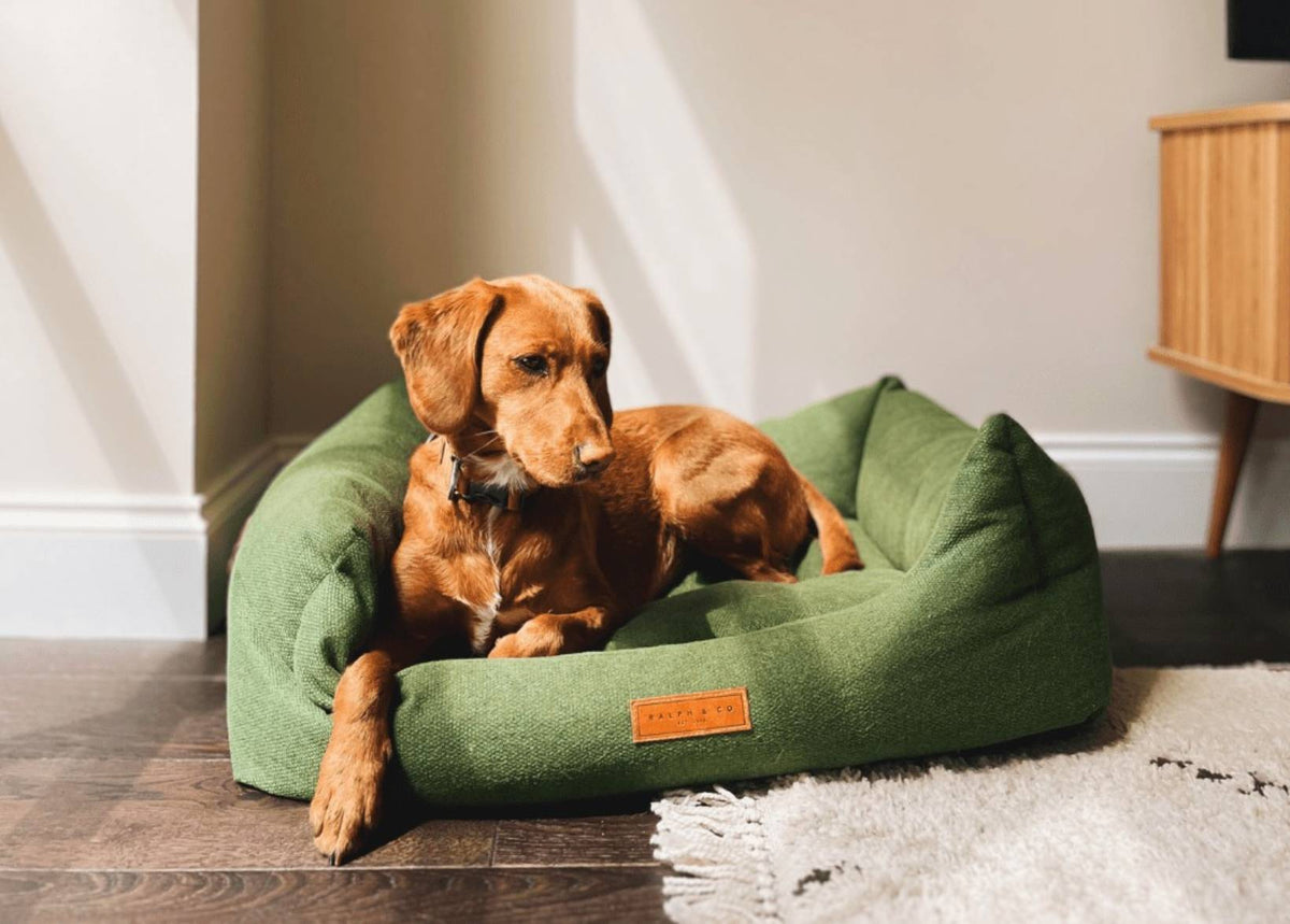 Ralph & Co The Richmond Bolster Dog Bed - Green