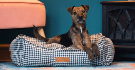 Ralph & Co The Kensington Houndstooth Bolster Dog Bed