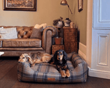 Ralph & Co The Marlow Memory Foam Bolster Dog Bed - Tartan