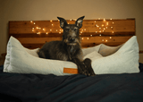 Ralph & Co The Highclere Luxury Memory Foam Bolster Dog Bed - Grey