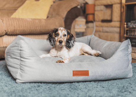 Ralph & Co The Highclere Luxury Memory Foam Bolster Dog Bed - Grey