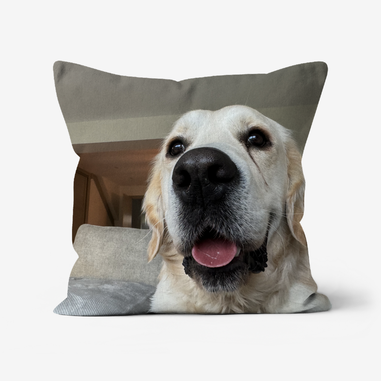 Custom Dog Photo Cushion Square Faux Suede – petsparadiseuk