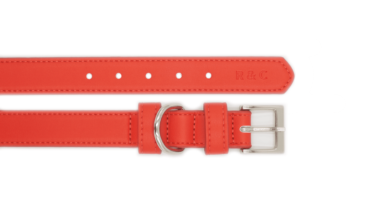 Ralph & Co Lignify Dog Collar Red