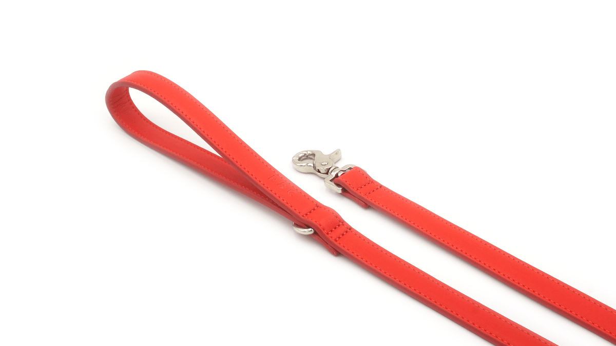 Ralph & Co Lignify Dog Lead Red