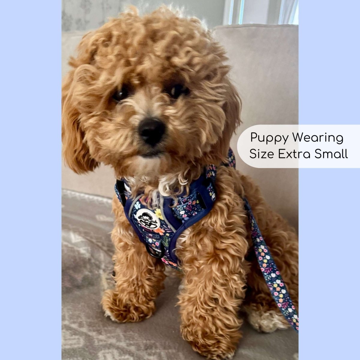 PupClub Couture Rugged Rover Harness - Summer Meadow