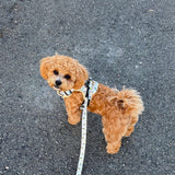 PupClub Couture Rugged Rover Bee-utiful Summer Dog Harness