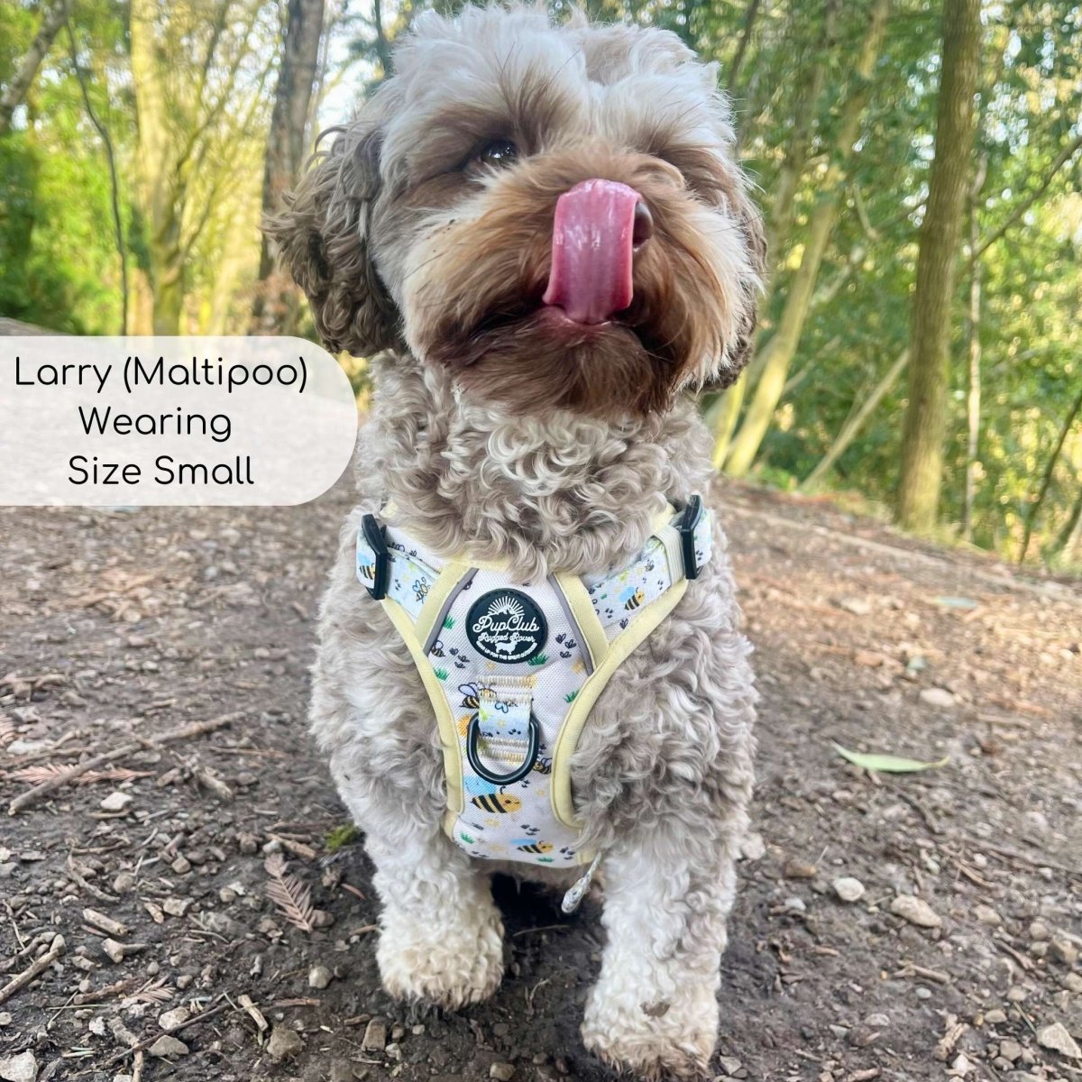 PupClub Couture Rugged Rover Bee-utiful Summer Dog Harness
