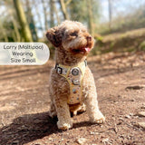 PupClub Couture Rugged Rover Bee-utiful Summer Dog Harness