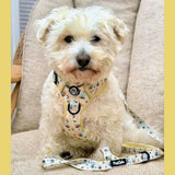 PupClub Couture Rugged Rover Bee-utiful Summer Dog Harness
