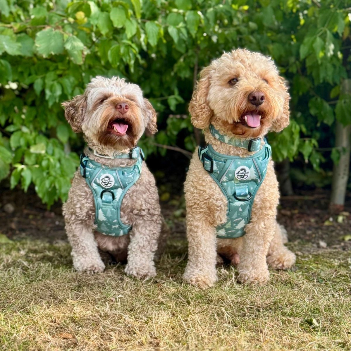 PupClub Couture Rugged Rover Harness - Evergreen Trails