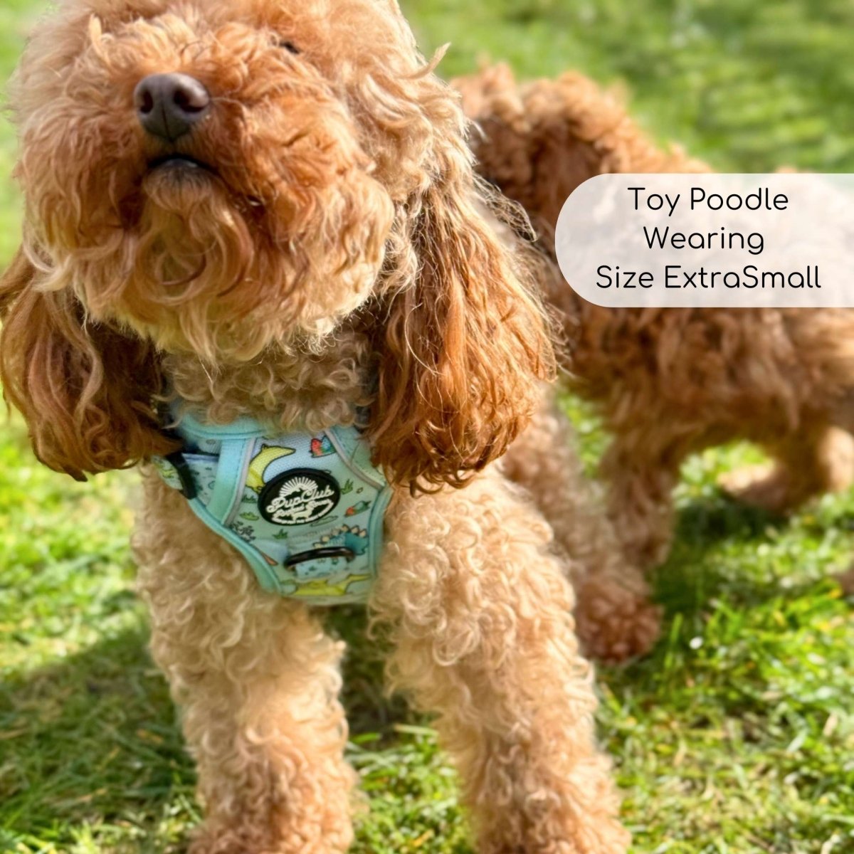 PupClub Couture Rugged Rover Harness - Jurassic Party