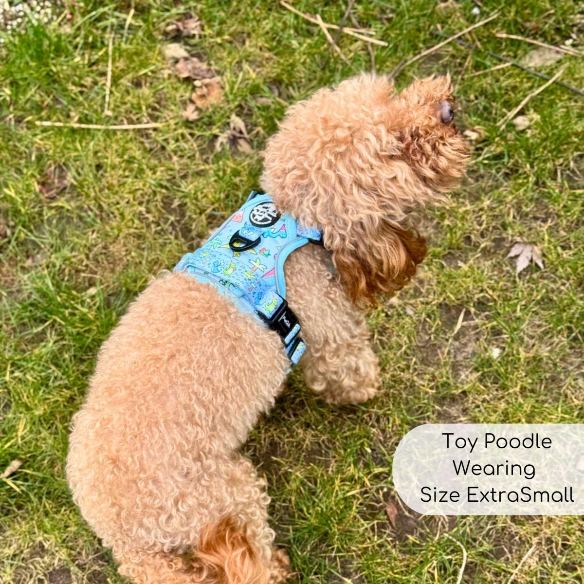 PupClub Couture Rugged Rover Harness - Jurassic Party