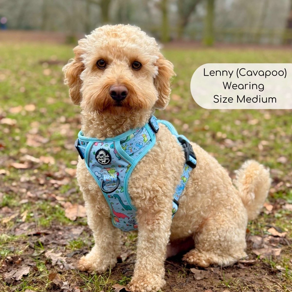 PupClub Couture Rugged Rover Harness - Jurassic Party