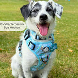 PupClub Couture Rugged Rover Harness - Jurassic Party