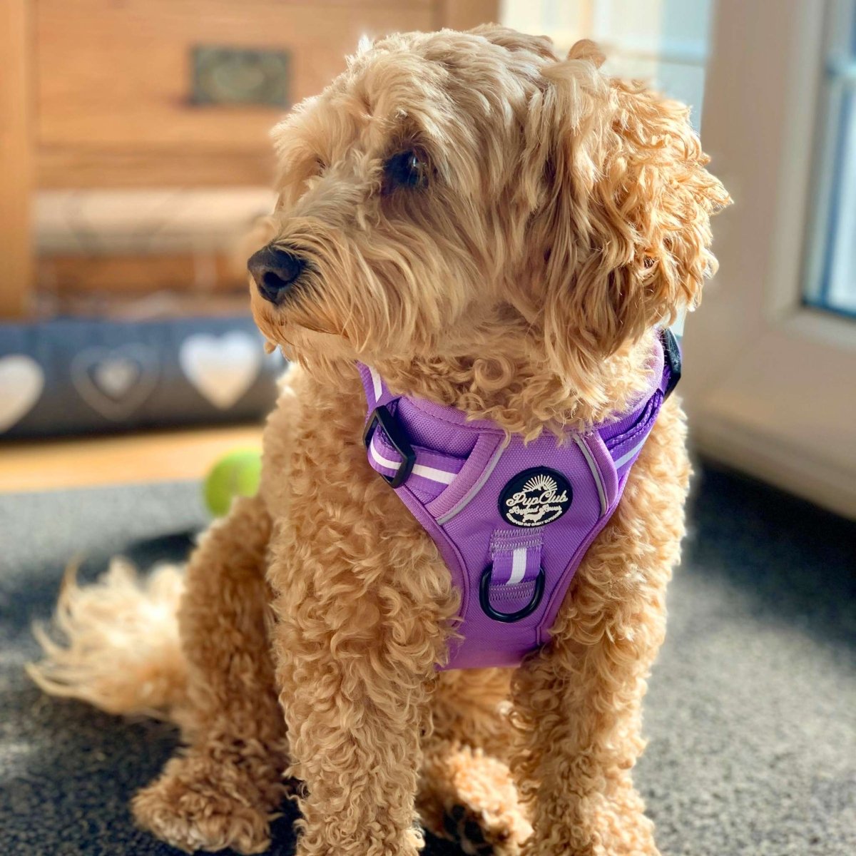PupClub Couture Rugged Rover Harness - Lilac Blush
