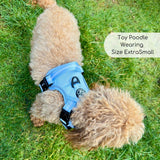 PupClub Couture Rugged Rover Dog Harness Pastel Blue