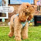 PupClub Couture Rugged Rover Dog Harness Pastel Blue