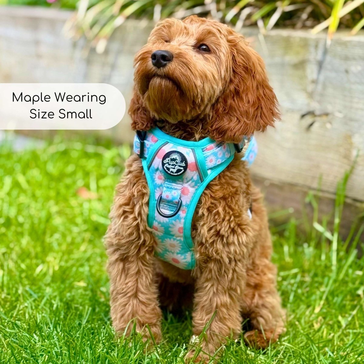 PupClub Couture Rugged Rover Harness - Pastel Daisy