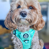 PupClub Couture Rugged Rover Dog Harness Pastel Mint Green