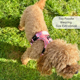 PupClub Couture Rugged Rover Harness - Peachy Hearts