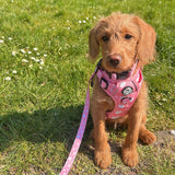 PupClub Couture Rugged Rover Harness - Peachy Hearts