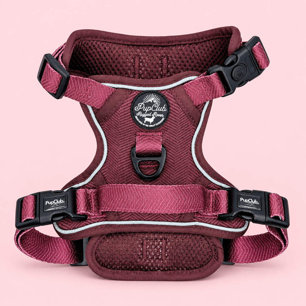 PupClub Couture Rugged Rover Dog Harness - Berry Tweed
