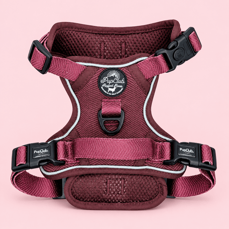PupClub Couture Rugged Rover Dog Harness - Berry Tweed