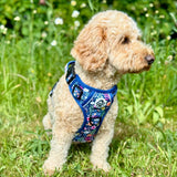 PupClub Couture Rugged Rover Harness - Summer Meadow