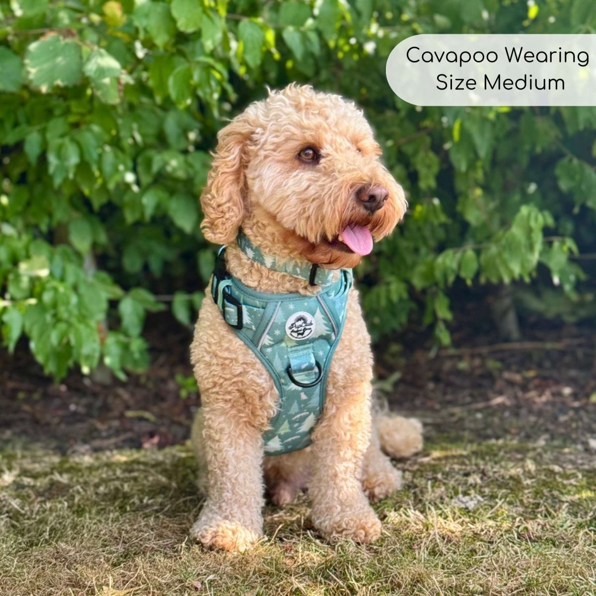 PupClub Couture Rugged Rover Harness - Evergreen Trails