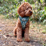 PupClub Couture Rugged Rover Harness - Evergreen Trails