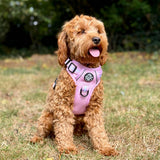 PupClub Couture Rugged Rover Dog Harness - Pastel Pink