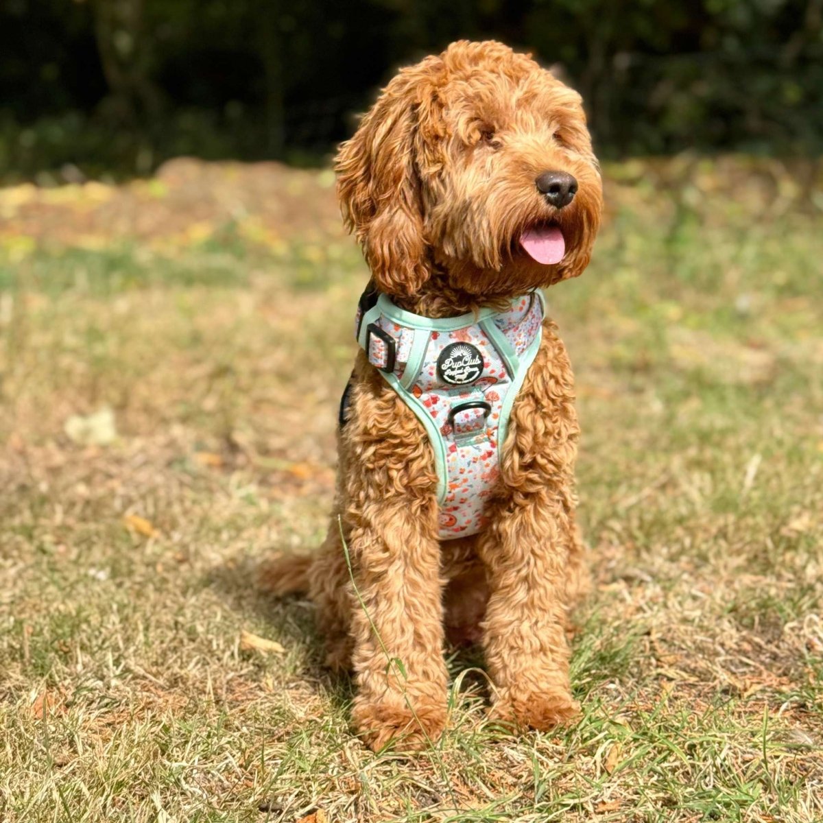 PupClub Couture Rugged Rover Harness - Woodland Friends