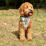 PupClub Couture Rugged Rover Harness - Woodland Friends