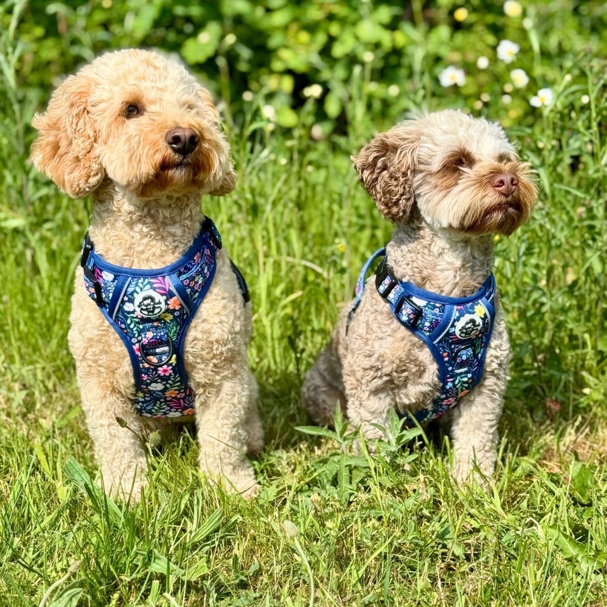 PupClub Couture Rugged Rover Harness - Summer Meadow